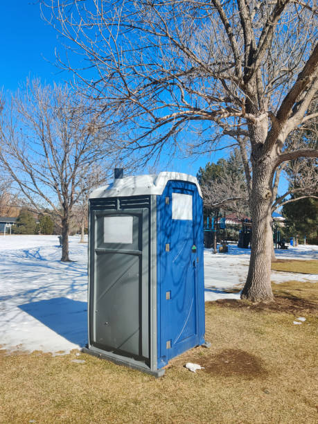 Best Portable Toilets with Baby Changing Stations  in Pinardville, NH